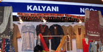 Trade Fair 2011, Delhi